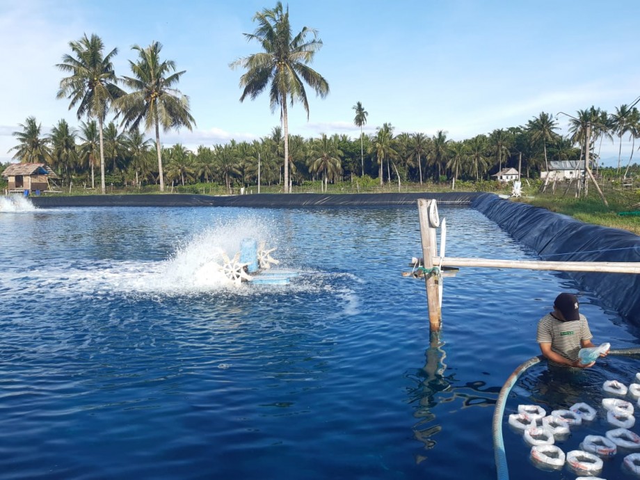 PTTEP Develops Agribusiness-Based Social Business for the People of West Sulawesicsr kesehatan